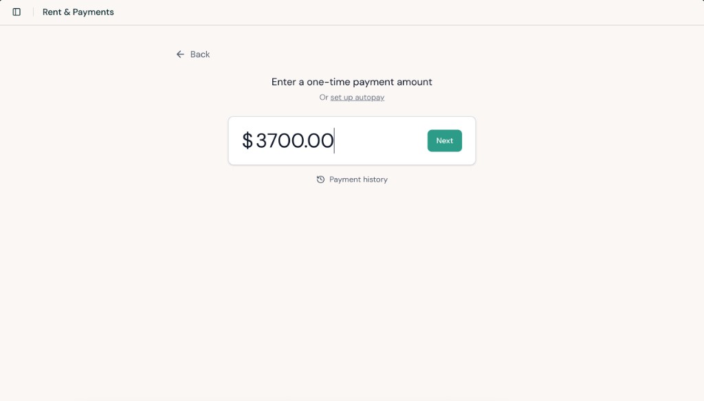 One-time payment screen with a payment amount entered and a Next button.